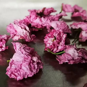 Natural Dried Cherry Blossom
