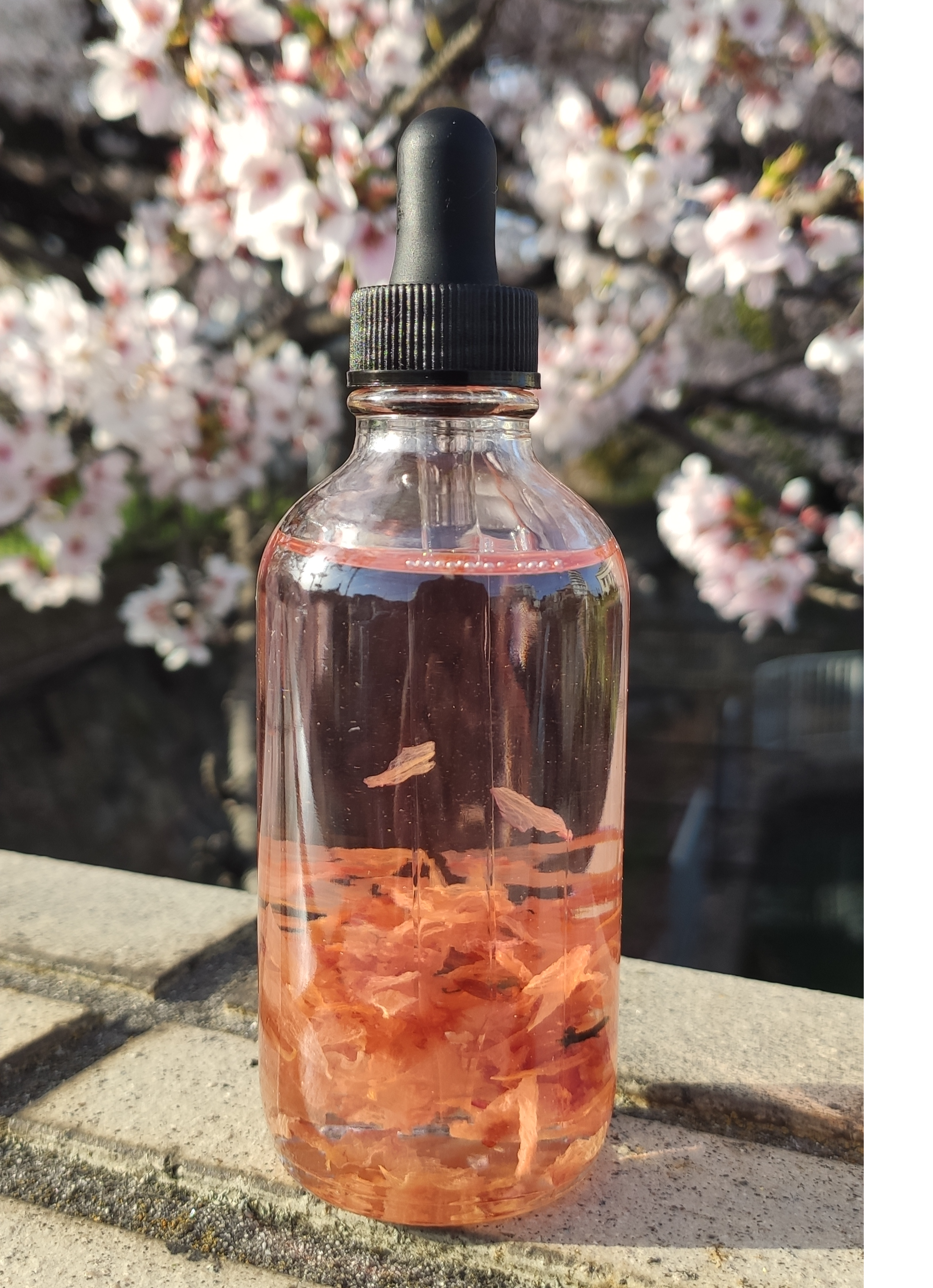 Rosehip Oil with Real Sakura for Skin / Hair
