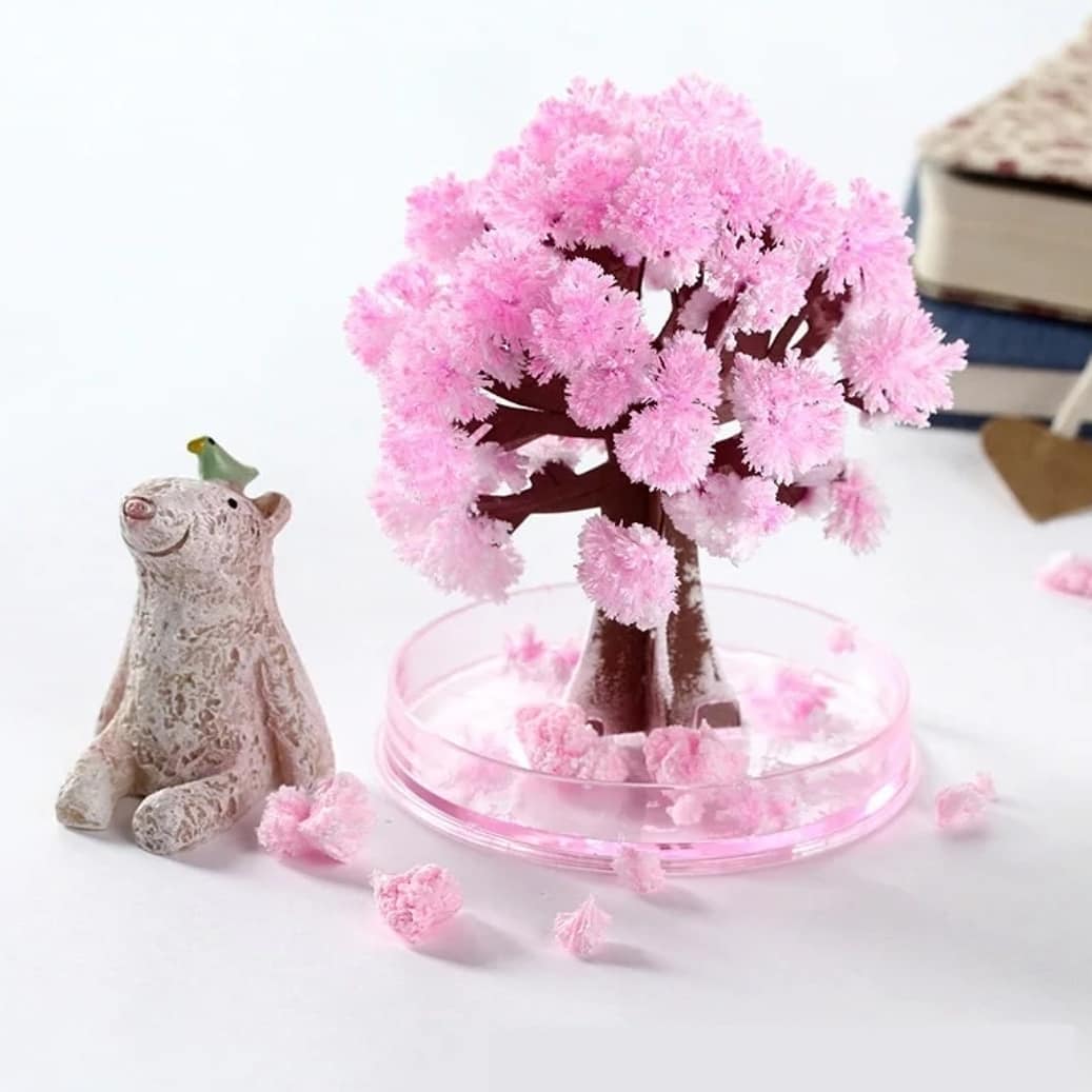 💮 Magic Growing Paper Sakura Tree