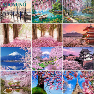 Japan PAINT by NUMBER Kit for Adults Beginner,diy Art Kit, Pink Cherry  Blossoms Mount Fuji , Acrylic Painting Kit , Wall Art Decor 